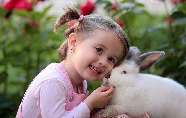 králík s malou holčičkou